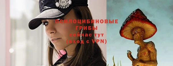 трава Баксан