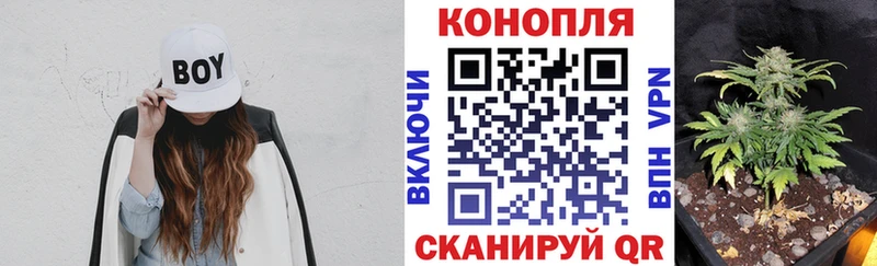 Каннабис ГИДРОПОН  Нязепетровск 